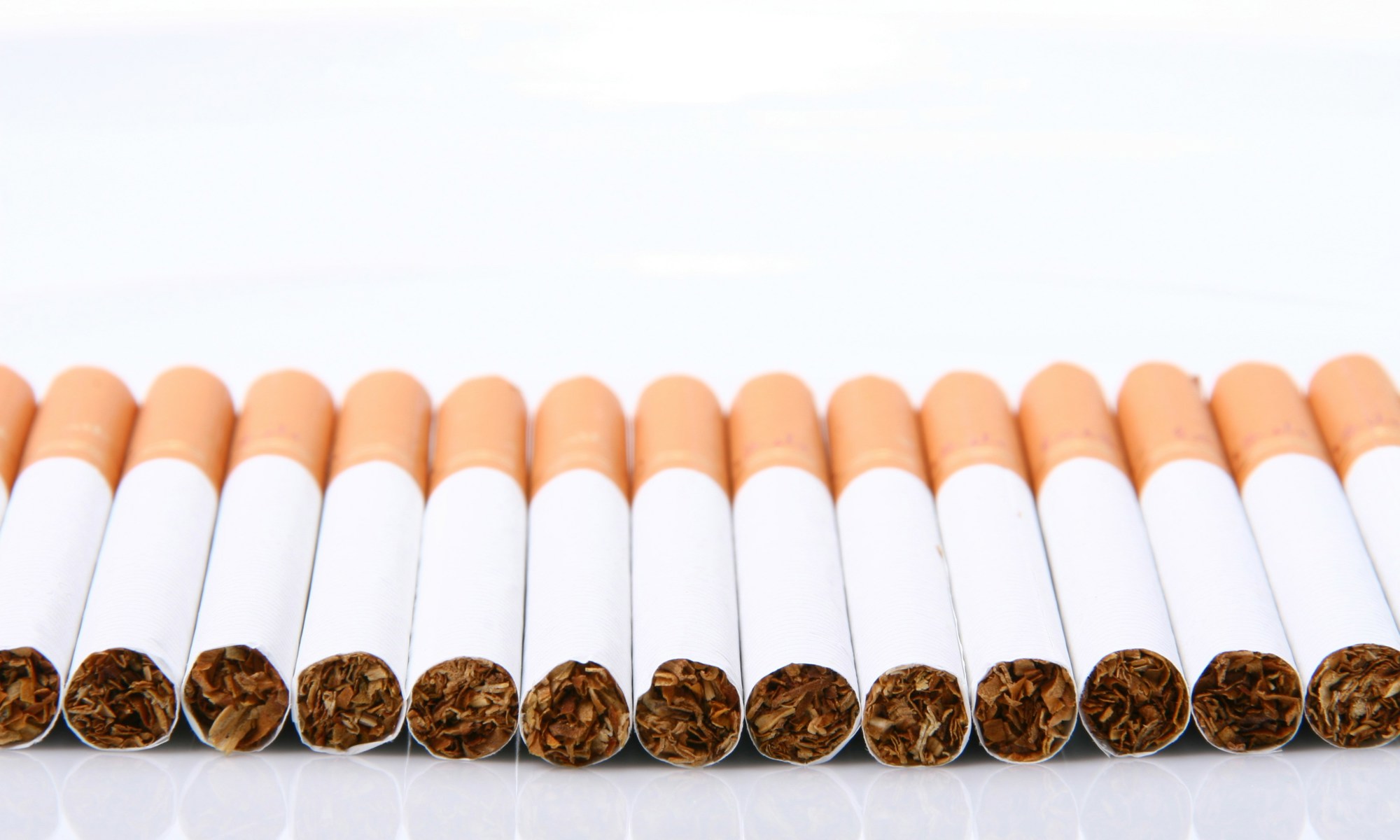 Shaun Meintjes Dzg0hawox0i Unsplash